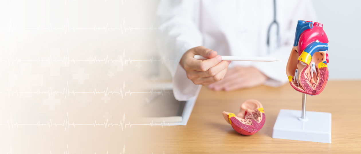 Пришло время позаботиться о сердце: повторный прием кардиолога со скидкой